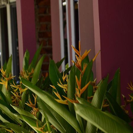Baronda Guest House Sorong Exteriér fotografie