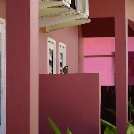 Baronda Guest House Sorong Exteriér fotografie