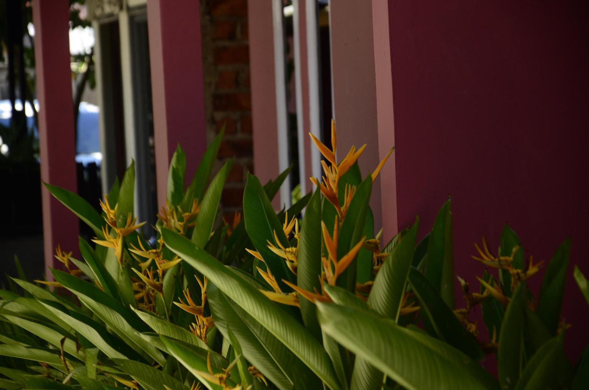 Baronda Guest House Sorong Exteriér fotografie