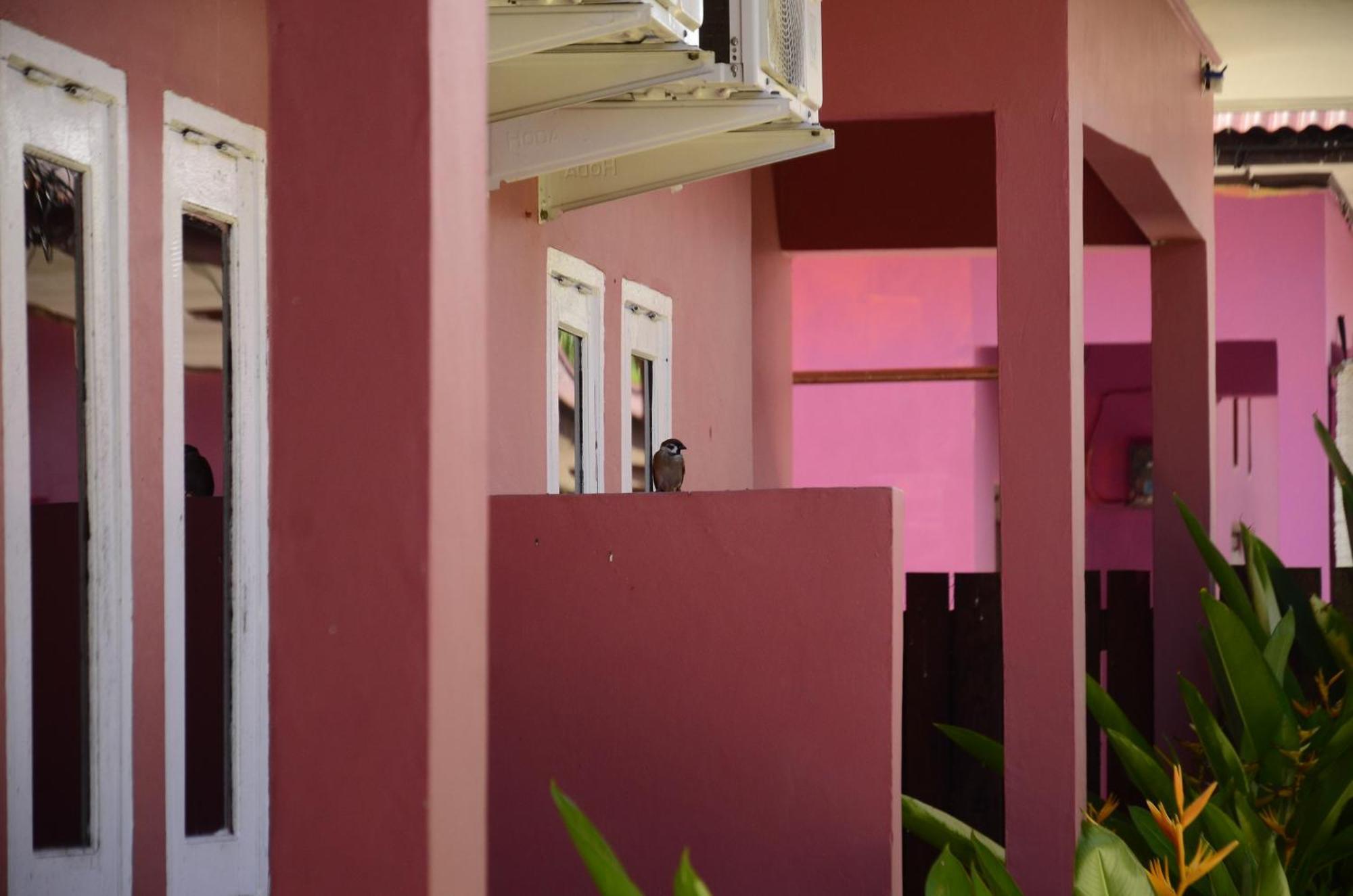 Baronda Guest House Sorong Exteriér fotografie